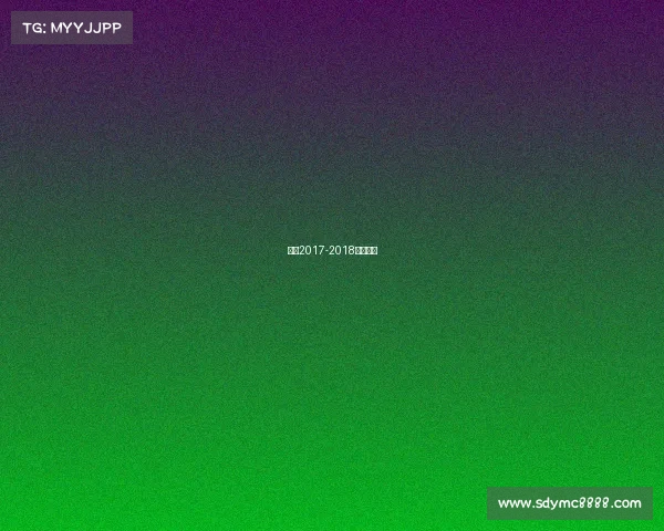 女排2017-2018女排决赛